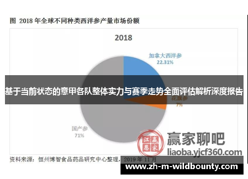 基于当前状态的意甲各队整体实力与赛季走势全面评估解析深度报告 基于当前状态的意甲各队整体实力与赛季走势全面评估解析深度报告