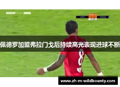 佩德罗加盟弗拉门戈后持续高光表现进球不断