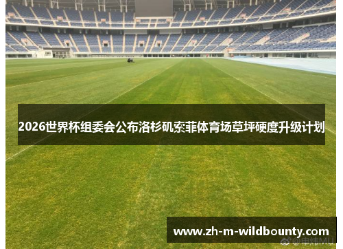 2026世界杯组委会公布洛杉矶索菲体育场草坪硬度升级计划 2026世界杯组委会公布洛杉矶索菲体育场草坪硬度升级计划