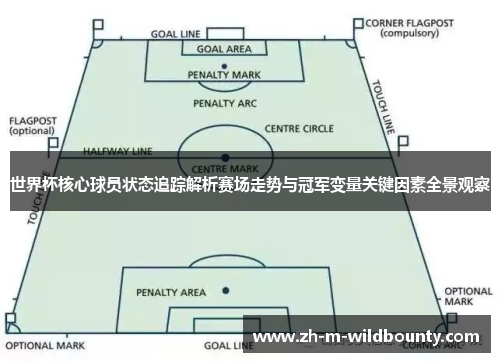 世界杯核心球员状态追踪解析赛场走势与冠军变量关键因素全景观察