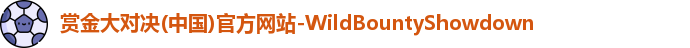 赏金大对决
